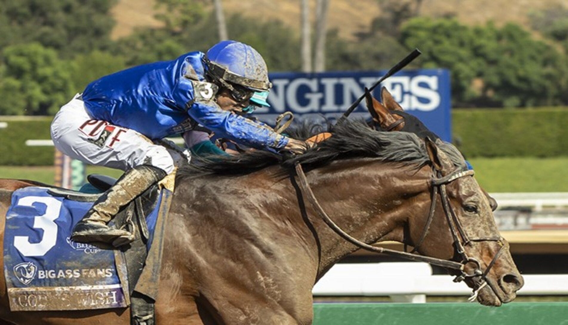 breeders-cup-2023-news-results-and-entries-daily-racing-form
